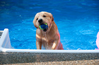 2010-06-05 at 17-57-08 0009 June 05, 2010