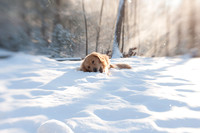2012-01-20 at 10-02-14 0012 January 20, 2012
