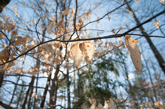 2013-03-30 at 15-21-04 0014 March 30, 2013