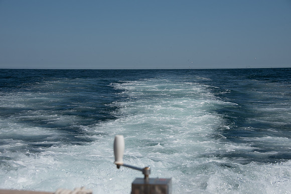 CMH_0858
