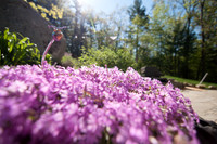 2013-05-15 at 09-23-27 0015 May 15, 2013
