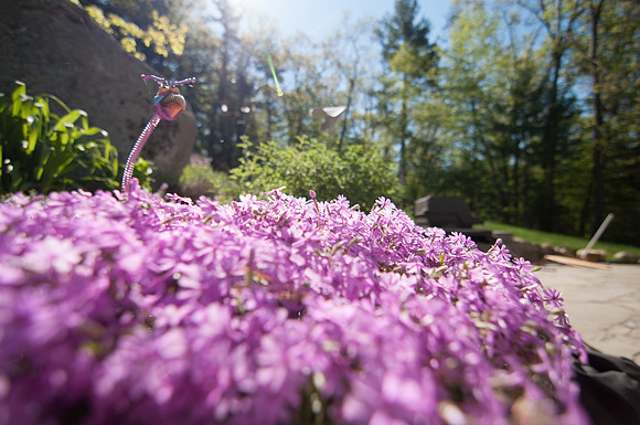 2013-05-15 at 09-23-27 0015 May 15, 2013