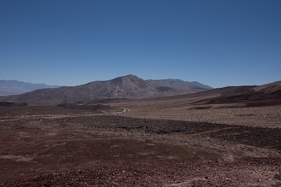 CMH_8719