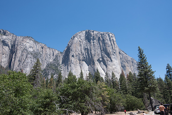 CMH_8357