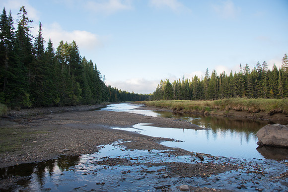 CMH_1050