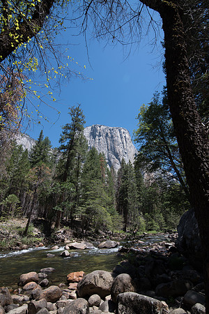 CMH_8376