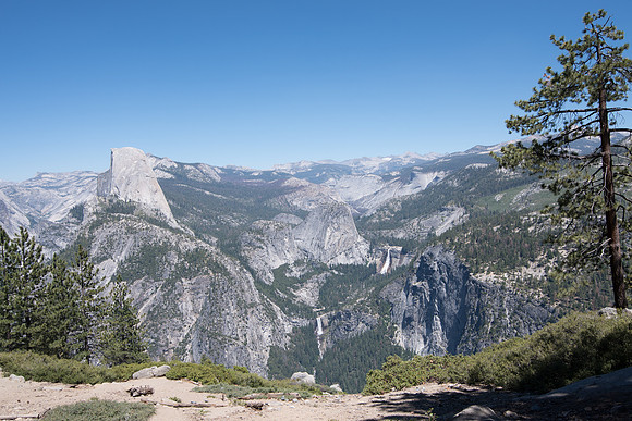 CMH_8449