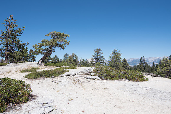 CMH_8445