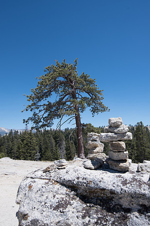 CMH_8443