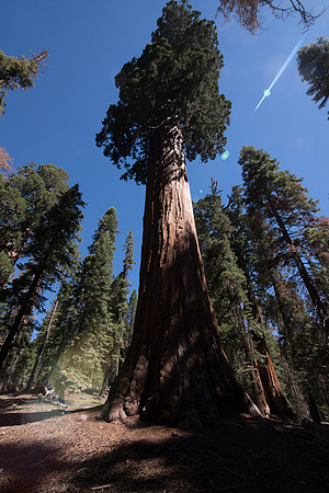 CMH_8497