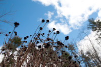 2013-03-24 at 14-26-12 0011 March 24, 2013