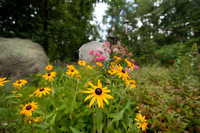 2013-07-23 at 18-05-28 0016 July 23, 2013