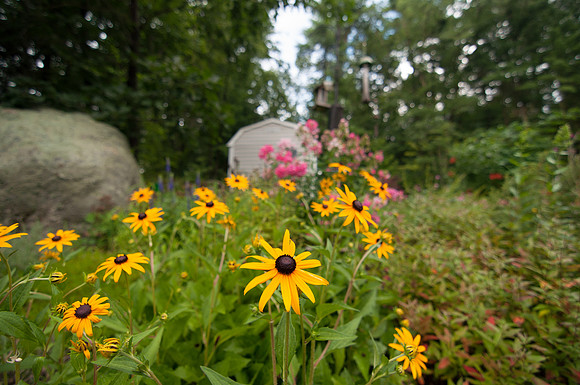 2013-07-23 at 18-05-28 0016 July 23, 2013