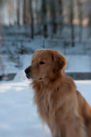 DSC_0435 0011 January 20, 2012