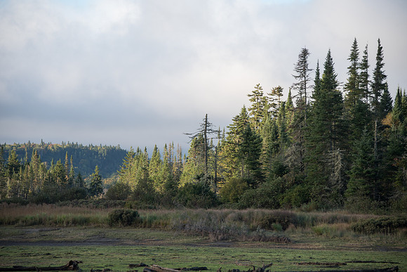 CMH_1061