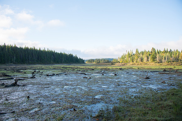 CMH_1059