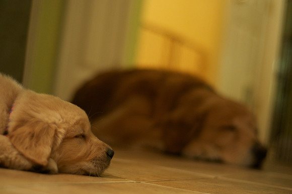 Nap Time!