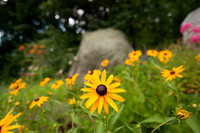 2013-07-23 at 18-06-23 0017 July 23, 2013