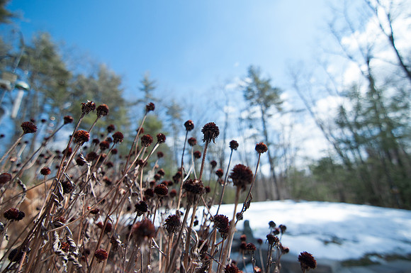 2013-03-17 at 13-30-00 0007 March 17, 2013