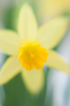 2013-03-30 at 15-32-07 0001 March 30, 2013