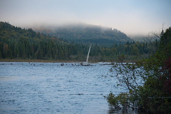 CMH_1035