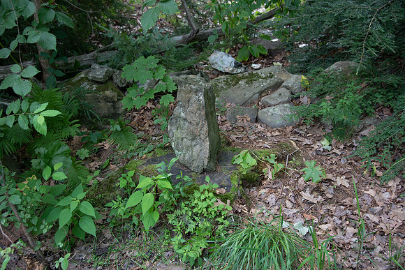 CMH_6795