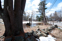 2013-03-17 at 12-44-25 0006 March 17, 2013