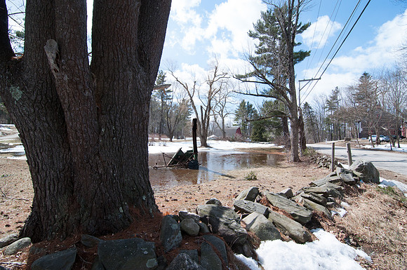 2013-03-17 at 12-44-25 0006 March 17, 2013