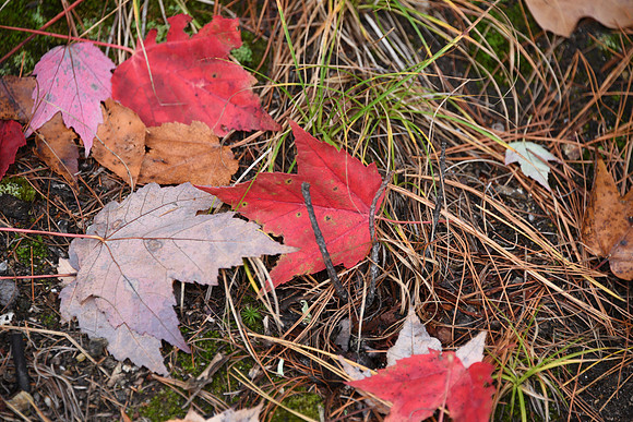 2014-10-02 at 16-26-30