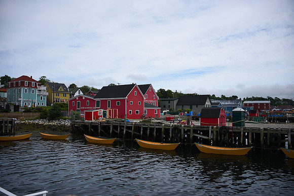 CMH_6004